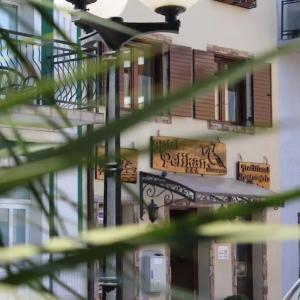 найти туры в отель Hotel Pelikan отель Hotel Pelikan