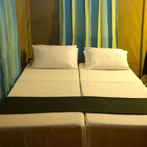 найти туры в отель Big Game - Wilpattu by Eco Team отель Big Game - Wilpattu by Eco Team