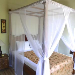 найти туры в отель Amed Harmony Cafe and Bungalows отель Amed Harmony Cafe and Bungalows