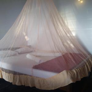 найти туры в отель Hotel El-Paso отель Hotel El-Paso