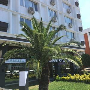 найти туры в отель Green Palmiye Hotel отель Green Palmiye Hotel
