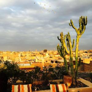 найти туры в отель Riad 144 отель Riad 144