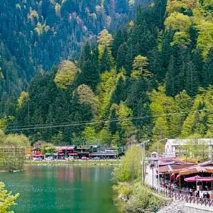 найти туры в отель Uzungol Dear Otel отель Uzungol Dear Otel