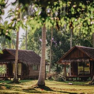 найти туры в отель COCO Canopy Boutique Resort отель COCO Canopy Boutique Resort