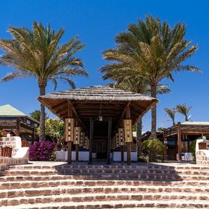 найти туры в отель Абоу Даббаб Дайвинг Лоудж отель Abu Dabbab Diving Lodge