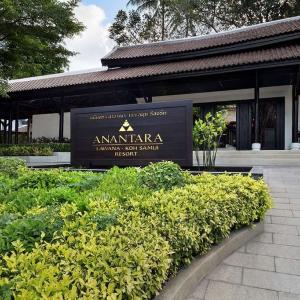 найти туры в отель Анантара Лавана Кох Самуи Ризот отель Anantara Lawana Koh Samui Resort