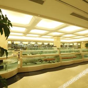 найти туры в отель Platinum Hanjue Hotel отель Platinum Hanjue Hotel