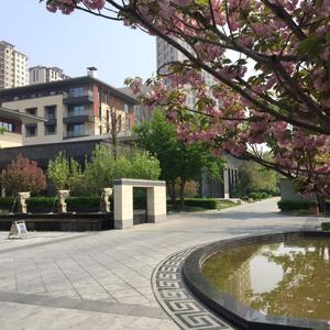 найти туры в отель Hilton Hampton Inn Tianjin Jingbin Industrial Park отель Hilton Hampton Inn Tianjin Jingbin Industrial Park