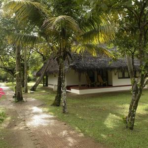 найти туры в отель Марари Бич Резорт отель Marari Beach Resort