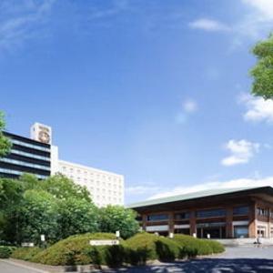 найти туры в отель Hotel Grand Shinonome отель Hotel Grand Shinonome