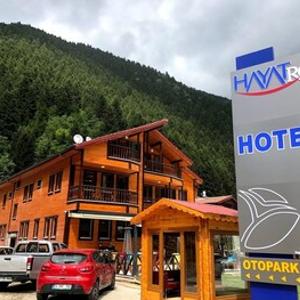 найти туры в отель Hayat Rose Hotel отель Hayat Rose Hotel