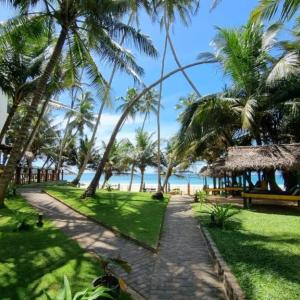 найти туры в отель Dickwella Beach отель Dickwella Beach