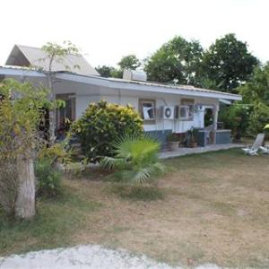 найти туры в отель Райзинг Сан Гестхаус отель Rising Sun Guesthouse