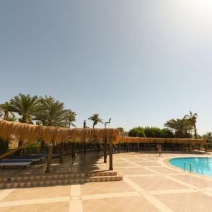 найти туры в отель Иглс Пэрэдайз Абу Сома отель Eagles Paradise Abu Soma
