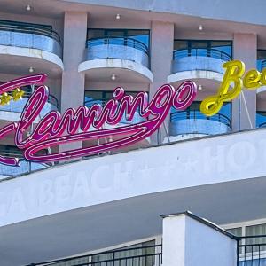 найти туры в отель Flamingo Beach Hotel отель Flamingo Beach Hotel