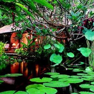 найти туры в отель The Watergarden Hotel & Spa отель The Watergarden Hotel & Spa