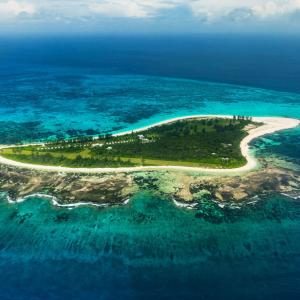 найти туры в отель Берд Айленд Лодж отель Bird Island Lodge