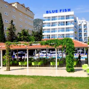 найти туры в отель Блю Фиш Отель отель Blue Fish Hotel