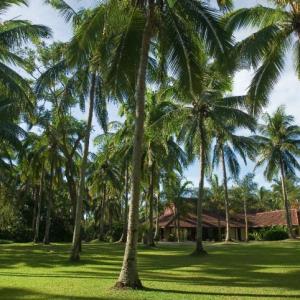 найти туры в отель The Farm At San Benito отель The Farm At San Benito