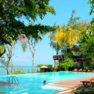 найти туры в отель Бирдс энд Бис Ризот отель Birds & Bees Resort