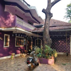 найти туры в отель Оршид Бич Хаус отель Orchid Beach House