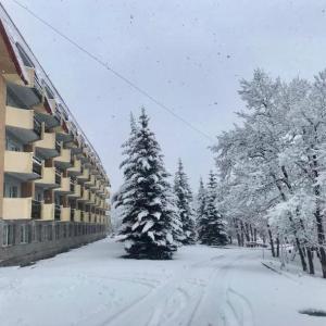 найти туры в отель Цахкадзор Дженерал Спорт Комплекс Отель отель Tsaghkadzor General Sport Complex Hotel