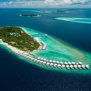 найти туры в отель Амилла Мальдивы Ризот энд Резиденс отель Amilla Maldives Resort and Residences