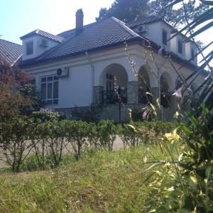 найти туры в отель Лагуна Отель отель Laguna Hotel