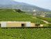 Туры в Scalani Hills Boutari Winery & Residences