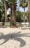 Туры в отель Alassio Hotel & Thalasso Туры в отель Alassio Hotel & Thalasso