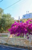 Туры в отель Villa Ariadni Туры в отель Villa Ariadni
