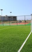 Туры в отель Lighthouse Apartments and Villas Туры в отель Lighthouse Apartments and Villas