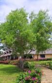 Туры в отель The Sands Beach Resort Туры в отель The Sands Beach Resort