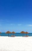 Туры в отель The Sands Beach Resort Туры в отель The Sands Beach Resort