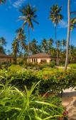 Туры в отель The Sands Beach Resort Туры в отель The Sands Beach Resort