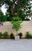 Туры в отель Tranquil Hotel Туры в отель Tranquil Hotel