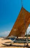 Туры в отель Ocean View Туры в отель Ocean View