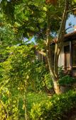 Туры в отель An Nhien Retreat Resort Туры в отель An Nhien Retreat Resort