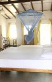Туры в отель Dephanie Beach Hotel Туры в отель Dephanie Beach Hotel
