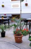 Туры в отель GT Hotel Туры в отель GT Hotel