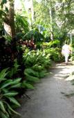 Туры в отель Club Mirissa Туры в отель Club Mirissa
