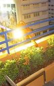 Туры в отель Diamond House Туры в отель Diamond House