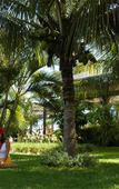 Туры в отель Costa Norte Ingleses Туры в отель Costa Norte Ingleses