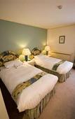 Туры в отель Cotswold Lodge Туры в отель Cotswold Lodge