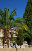 Туры в отель Ikaros Hotel Туры в отель Ikaros Hotel