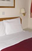 Туры в отель Chiswick Lodge Hotel Туры в отель Chiswick Lodge Hotel