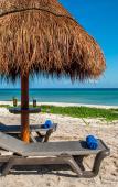 Туры в отель Ocean Riviera Paradise Туры в отель Ocean Riviera Paradise