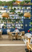 Туры в отель Ocean Riviera Paradise Туры в отель Ocean Riviera Paradise