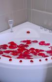 Туры в отель New Sun Hotel Туры в отель New Sun Hotel
