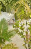 Туры в отель Holiday Lodge Maldives Туры в отель Holiday Lodge Maldives